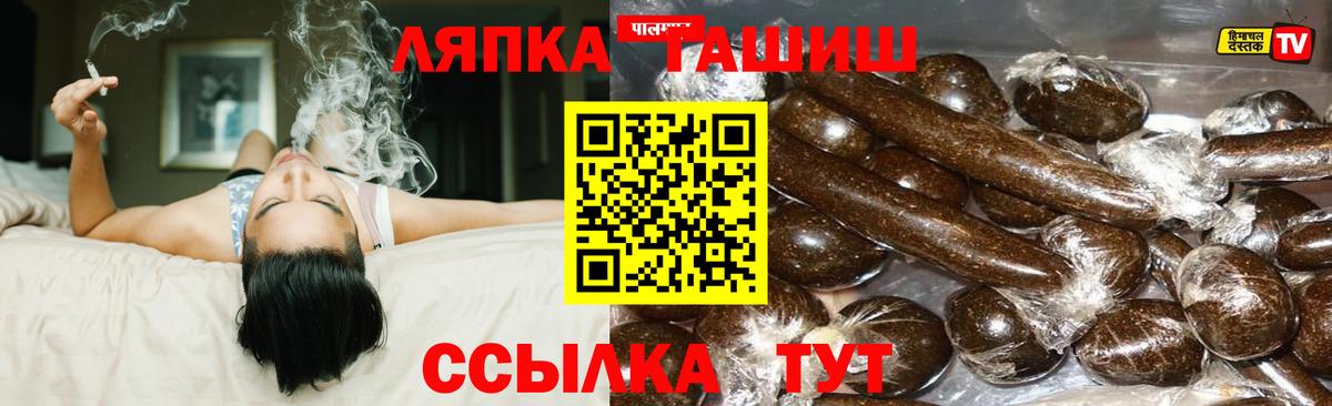 Гашиш Изолятор Сокол
