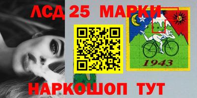 spice Новодвинск