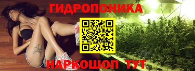 молекула духа Новозыбков