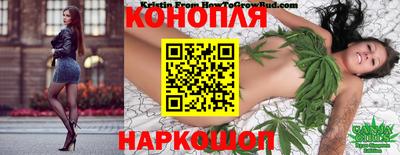 spice Новодвинск