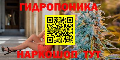 молекула духа Новокубанск