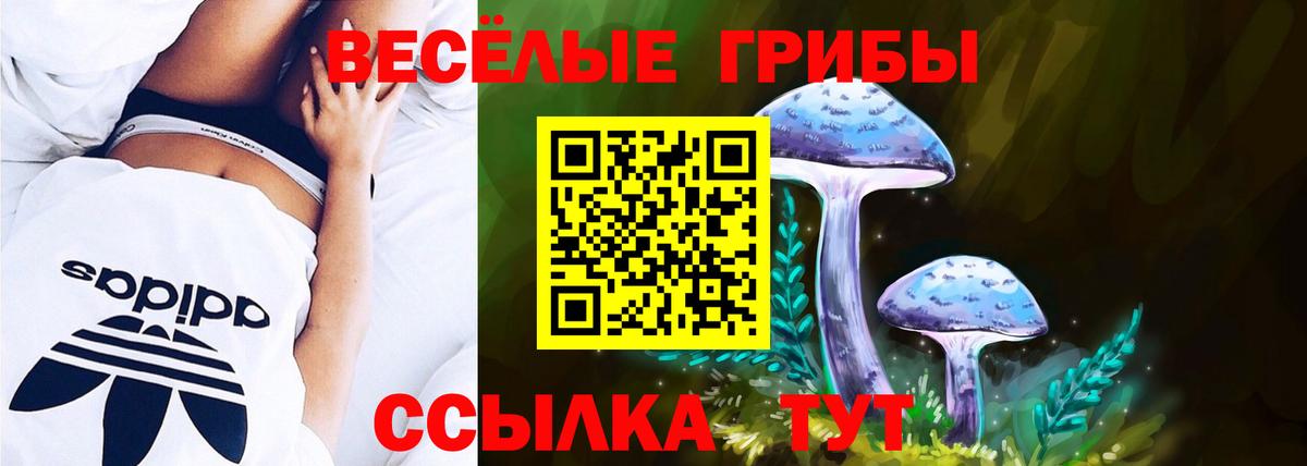 Галлюциногенные грибы Cubensis  Вход с VPN  Сокол  Галлюциногенные грибы Magic Shrooms 