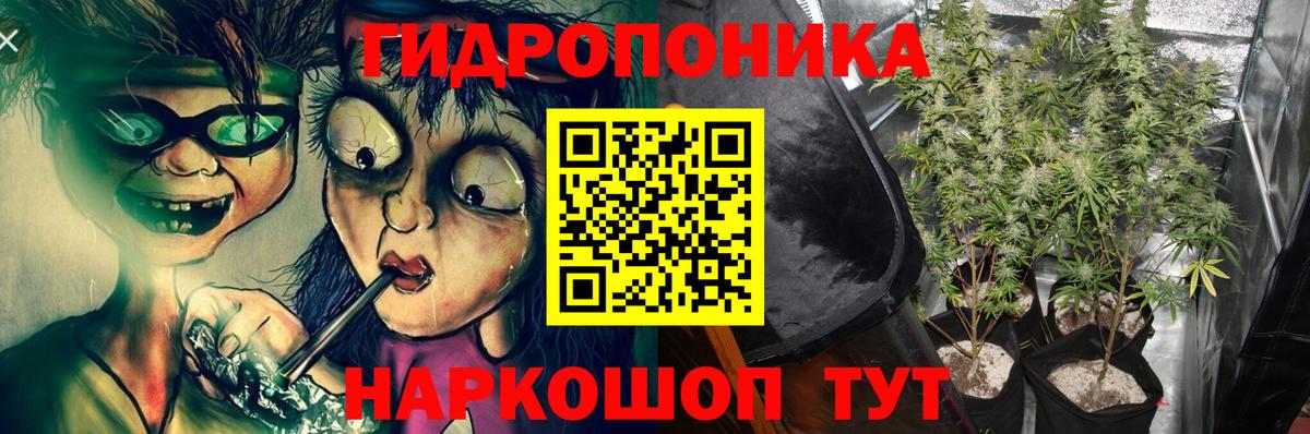 Конопля Bruce Banner Сокол