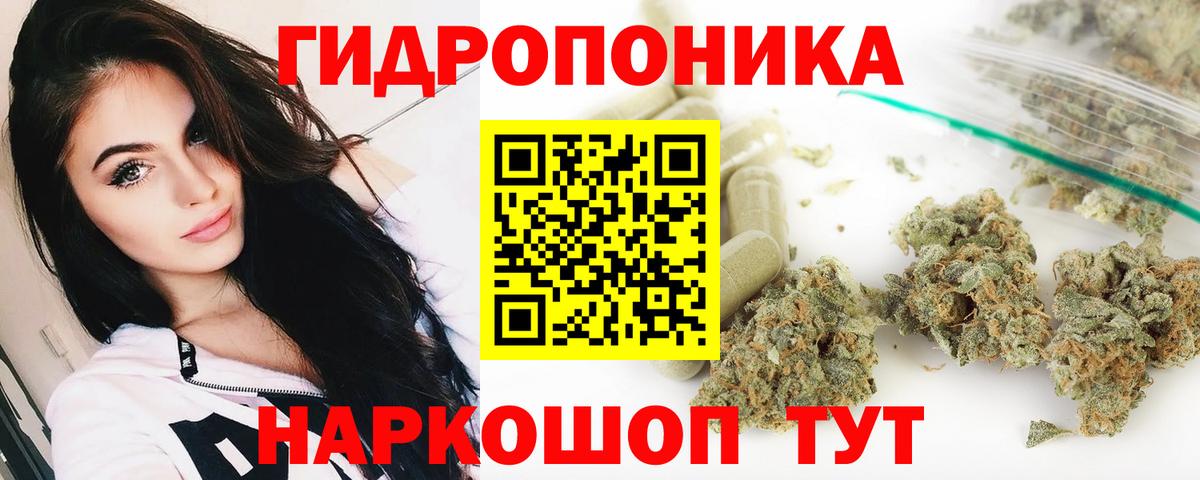 Каннабис семена  Каннабис сатива  Вход с VPN  Сокол  Шишки марихуана тримм 
